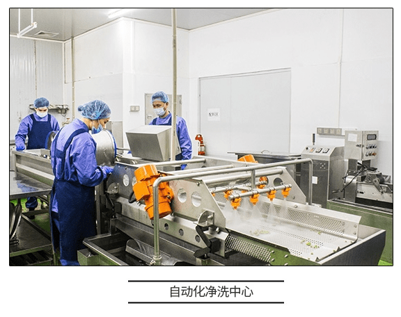 直擊工廠溯源 咚吃如何以科技賦能，保障食品安全新高度